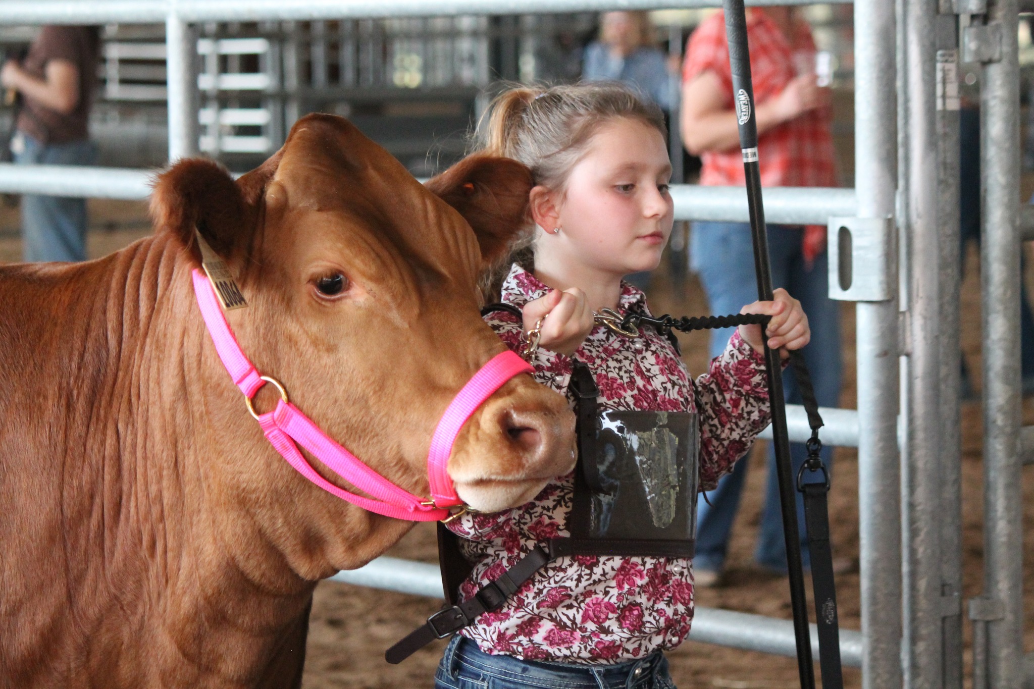 Youth exhibitor